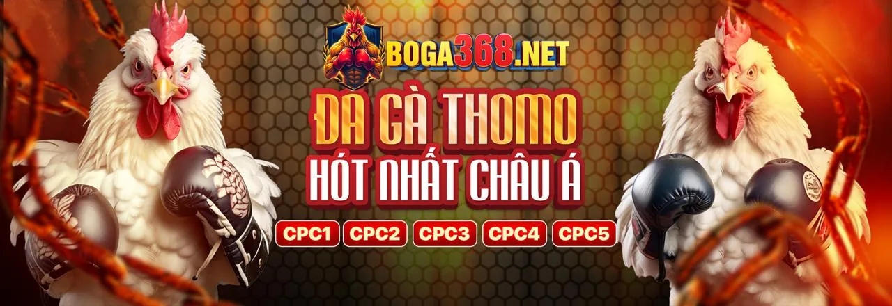 Đá gà trực tuyến 8ki link mới 2026 với các trận đấu đỉnh cao
