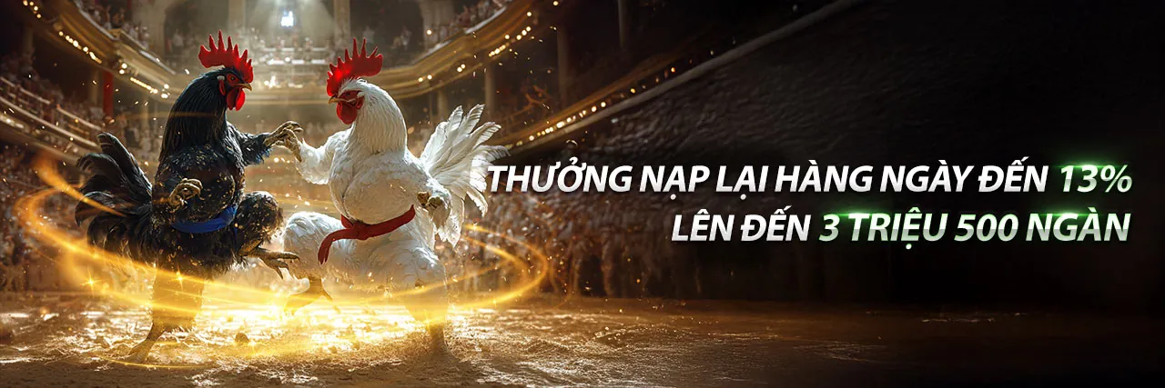 Sân vận động thể thao sôi động, cá cược 8ki link mới